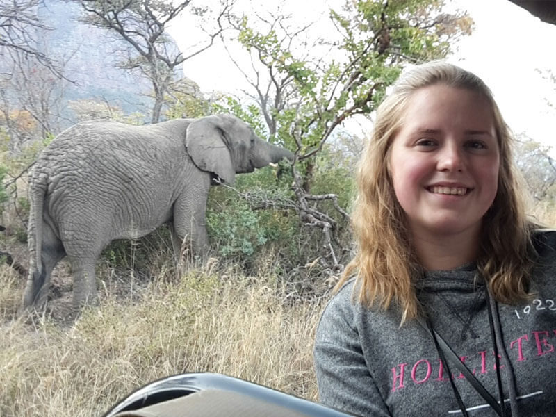 Imke in einem Safari-Jeep mit einem Elefanten im Hintergrund